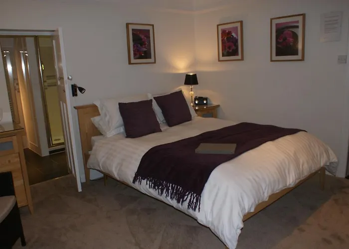 Woodacre B & B